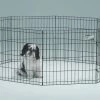 8 Panel Exercise Pen For Dogs/Small Animals -Pet Shop 5 147807