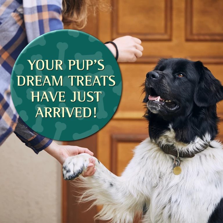 Zignature Soft Moist Dog Treats Salmon Formula 7 Zignature Soft Moist Dog Treats Salmon Formula - Image 5