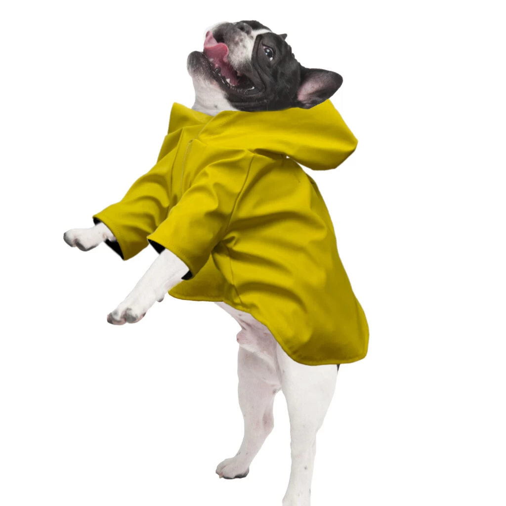 Fashion Pet Cosmo Yellow Reversible Urban Rain Coat 5 Fashion Pet Cosmo Yellow Reversible Urban Rain Coat - Image 3