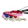 Lupine Pet Basic Solids Dog Leash -Pet Shop 7 basics leash 1