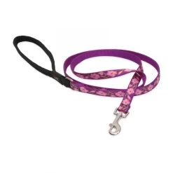Lupine Pet Original Designs Padded Handle Dog Leash 39 Lupine Pet Original Designs Padded Handle Dog Leash -Pet Shop 85239