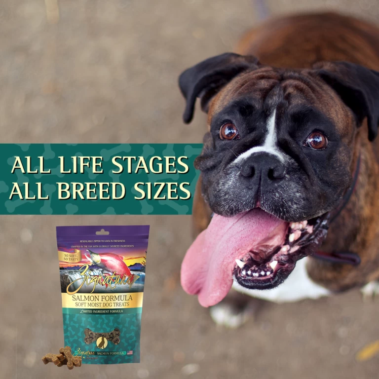 Zignature Soft Moist Dog Treats Salmon Formula 4 Zignature Soft Moist Dog Treats Salmon Formula - Image 2