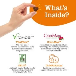 Zesty Paws Stay Green Bites™ For Dogs -Pet Shop API2.0StayGreen 05 600x 863c3259 c6f7 4d38 950f 856327f45616