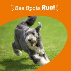 Zesty Paws Stay Green Bites™ For Dogs -Pet Shop API2.0StayGreen 08 600x 43b2e05c d849 421d 9c68 5944dcd876b2