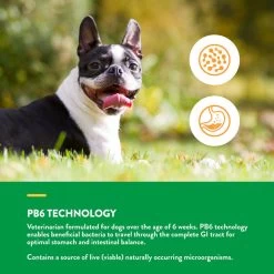 NaturVet Scoopables Advanced Probiotics & Enzymes -Pet Shop AdvancedProbiotics EnzymesScoopablesforDogs5