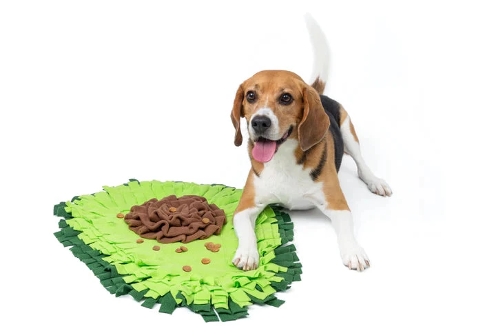 Injoya Avocado Snuffle Mat For Dog 5 Injoya Avocado Snuffle Mat For Dog - Image 3