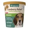 NaturVet Cranberry Relief® Soft Chew 1 NaturVet Cranberry Relief® Soft Chew -Pet Shop Cranberry Relief Plus Echinacea SC Cup 60ct NV 03696