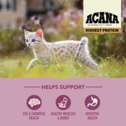 Acana Highest Protein, Kitten Recipe -Pet Shop DS 20ACA 20HP 20Kitten 20PDP 201000x10004
