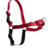 PetSafe Easy Walk® Harness, No Pull Dog Harness 2 PetSafe Easy Walk® Harness, No Pull Dog Harness -Pet Shop EWH RED a