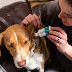 Wondercide Ear Wash For Dogs & Cats -Pet Shop Ear Care Website Carousel Images Ear Wash Use 1024x1024 29aa8707 3881 4988 90a1 c1db3cd9a503