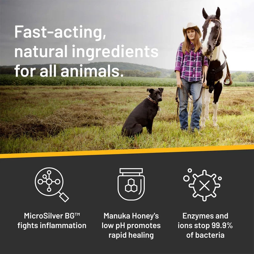 Silver Honey Hot Spot & Wound Care Spray Gel 5 Silver Honey Hot Spot & Wound Care Spray Gel - Image 3