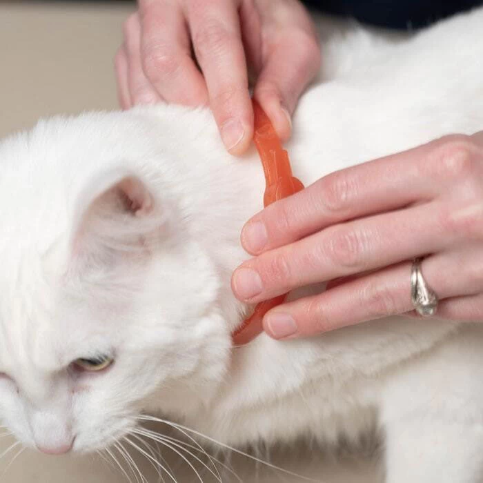 Wondercide Flea & Tick Collar For Dogs + Cats With Natural Essential Oils 4 Wondercide Flea & Tick Collar For Dogs + Cats With Natural Essential Oils - Image 2