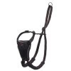 Company Of Animals Halti No Pull Harness -Pet Shop Halti No Pull Harness Product Header Gallery 694x572 6ab1f2e2 4271 4e3c 95d6 859dbc4e0540