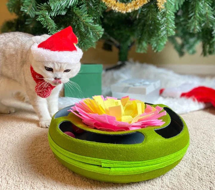 Injoya Cat Puzzle Toy 4 Injoya Cat Puzzle Toy - Image 2