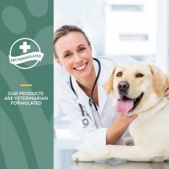 NaturVet Glucosamine DS™ Soft Chews -Pet Shop Joint Health Vet Formulated Slide Dogs Alt 23af5fd1 c4cd 4f14 9fe5 0e678322c6db