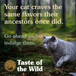 Taste Of The Wild Lowland Creek Feline Recipe With Roasted Quail & Roasted Duck -Pet Shop Lifestyle Cat