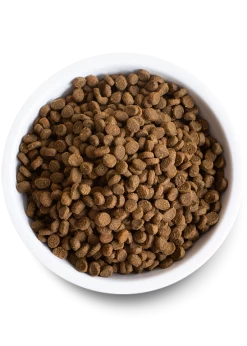 Open Wild-Caught Salmon Dry Cat Food