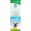 TropiClean Pet Oral Care Gel For Dogs With Berry Flavoring -Pet Shop TC FBR Website Image Oral Care Clean Teeth Gel Berry Fresh 2oz FRONT