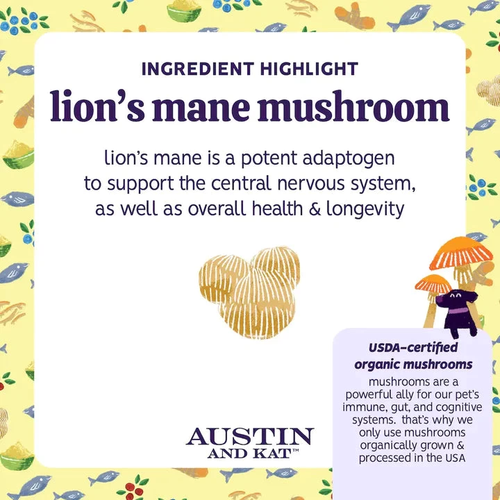 Austin And Kat Brady's Senior Blend Total Support Powder 5 Austin And Kat Brady's Senior Blend Total Support Powder - Image 3