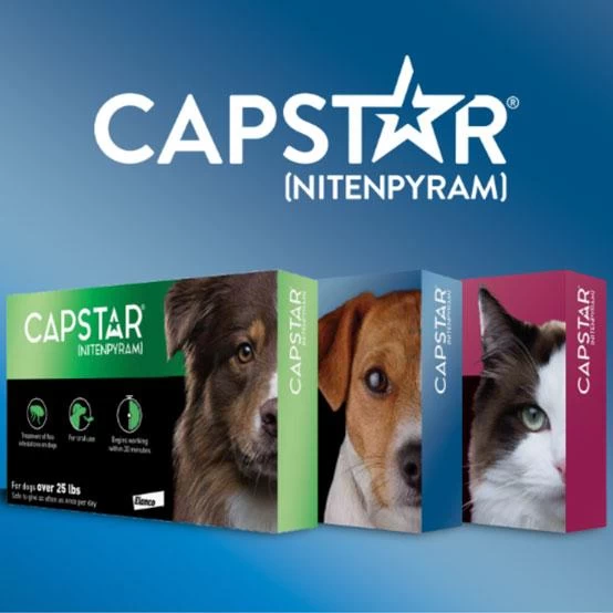 Capstar For Dogs & Cats 3 Capstar For Dogs & Cats