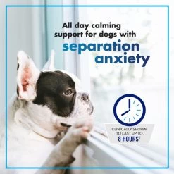 VetriScience Composure™ Long Lasting Dog Chews -Pet Shop comp ll 8 hours 2