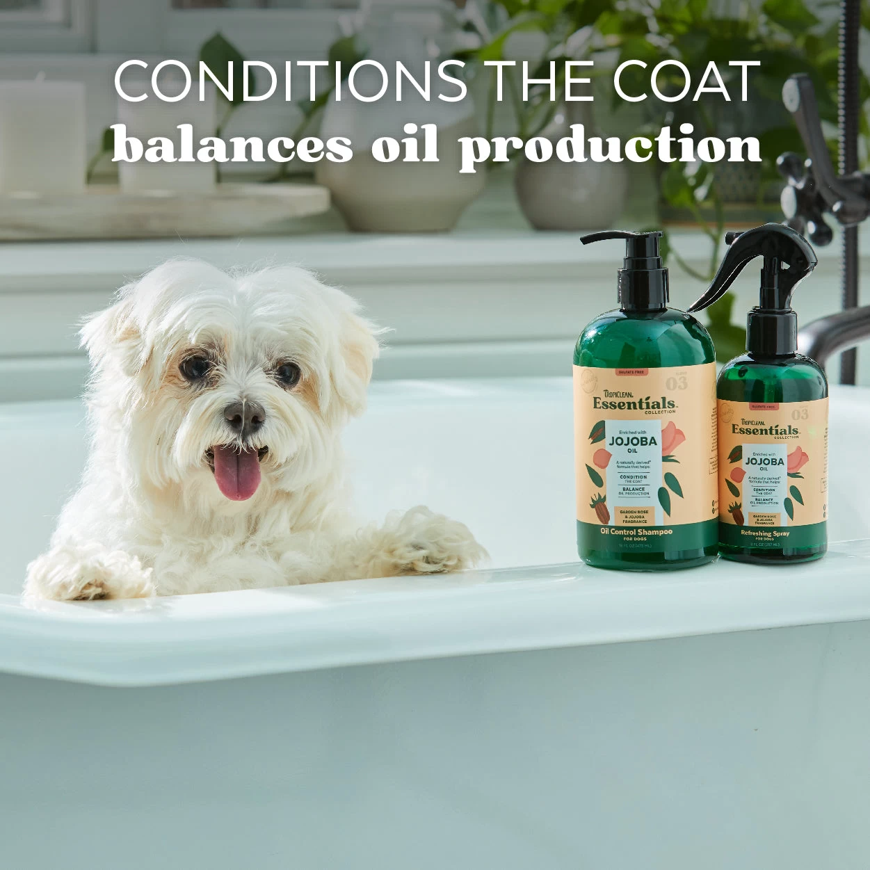 TropiClean Jojoba Oil Control Shampoo For Dogs 5 TropiClean Jojoba Oil Control Shampoo For Dogs - Image 3