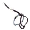 PetSafe Come With Me Kitty™ Black Cat Harness & Bungee Leash -Pet Shop cwmk blk slvr a 1