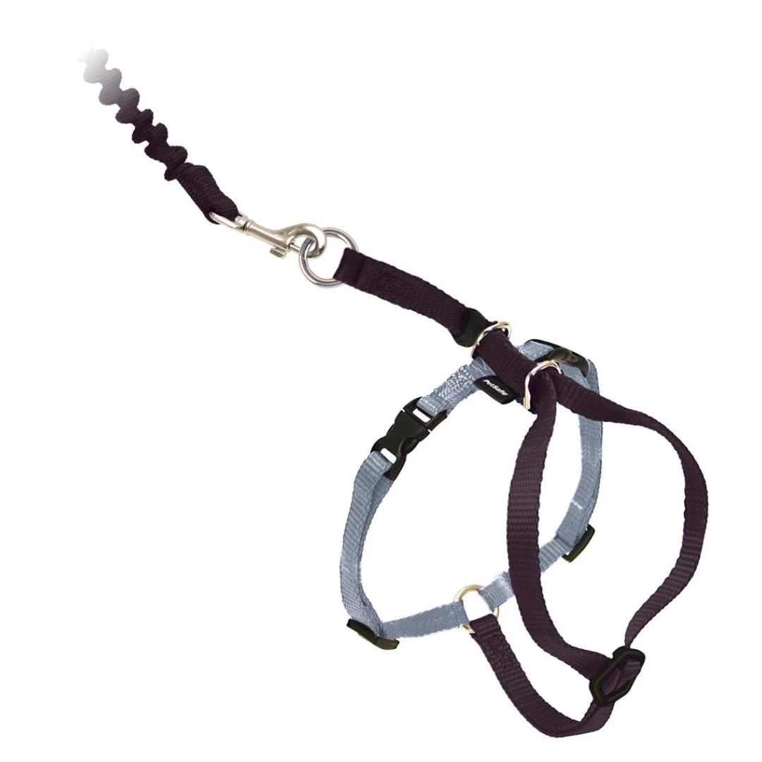 PetSafe Come With Me Kitty™ Black Cat Harness & Bungee Leash 3 PetSafe Come With Me Kitty™ Black Cat Harness & Bungee Leash