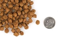 Fromm Indoor Cat Hairball Control Gold Dry Food 7 Fromm Indoor Cat Hairball Control Gold Dry Food -Pet Shop gold cat dry 4lb indoor cat 072705107001 w1k