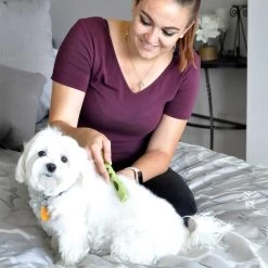 Coastal Pet Products Safari Dog Mat Remover 9 Coastal Pet Products Safari Dog Mat Remover -Pet Shop id8oqjna6jyoy3axkjnq