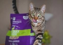 Stella & Chewy's Duck Duck Goose Grain Free Dinner Morsels Freeze Dried Cat Food 12 Stella & Chewy's Duck Duck Goose Grain Free Dinner Morsels Freeze Dried Cat Food -Pet Shop j5bdgyd1xftcptqlff17