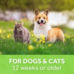 TropiClean Lime & Coconut Deodorizing Spray For Pets -Pet Shop lznladd5x1lwob76okhv a25e8235 3d69 43fe 91ee 7a0bc0e3ad31