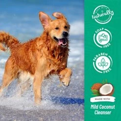TropiClean Awapuhi & Coconut Whitening Shampoo For Pets 19 TropiClean Awapuhi & Coconut Whitening Shampoo For Pets -Pet Shop ng9ltaph9wokpmteafke c2a82d2c b380 4c1d 944f 4fc8eae05620