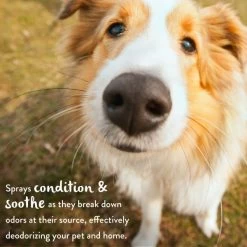 TropiClean Lime & Coconut Deodorizing Spray For Pets -Pet Shop r3yrwrvujak6cxfxn15v 16e213bc e5e7 4085 a7e1 75428afb05de