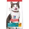 Hill's® Science Diet® Adult 11+ Indoor Cat Food -Pet Shop sd feline adult 11 plus indoor dry productShot zoom.jpg.rendition.1920.1920