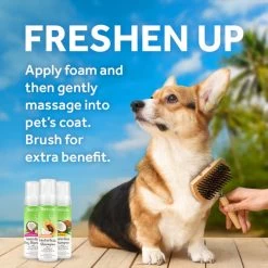 TropiClean Waterless Facial Cleanser 14 TropiClean Waterless Facial Cleanser -Pet Shop skcarwpvkk8ktzmla8pc af1c7617 7593 434e adde 3a5f20cfc0c0