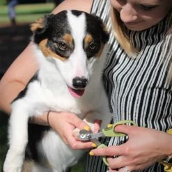 Coastal Pet Products Safari Dog Deluxe Nail Trimmer 7 Coastal Pet Products Safari Dog Deluxe Nail Trimmer -Pet Shop ugl0cnay9d1n1gxpv5z5