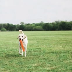 Petmate Chuckit! Breathe Right Fetch Stick -Pet Shop unnamed c98ed126 aecf 44cd b2f5 dd35ec4530b2