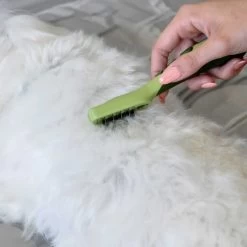 Coastal Pet Products Safari Dog Mat Remover 8 Coastal Pet Products Safari Dog Mat Remover -Pet Shop uptdfzmddhffjhpc7qem