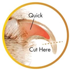 Coastal Pet Products Safari Guillotine Dog Nail Trimmer -Pet Shop voppe0lzldywxwftugk0