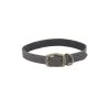 Coastal Pet Products Circle T Rustic Leather Town Dog Collar 1 Coastal Pet Products Circle T Rustic Leather Town Dog Collar -Pet Shop wg47m8imsnbxsr4bjg1w