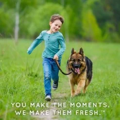 TropiClean Natural Flea & Tick Home Spray -Pet Shop wrsyshxpninzxyr9tmzy de0dd717 413f 438b 8a0b 5853737c42b3